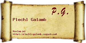 Plechl Galamb névjegykártya